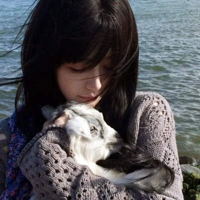 碧血青天 海报